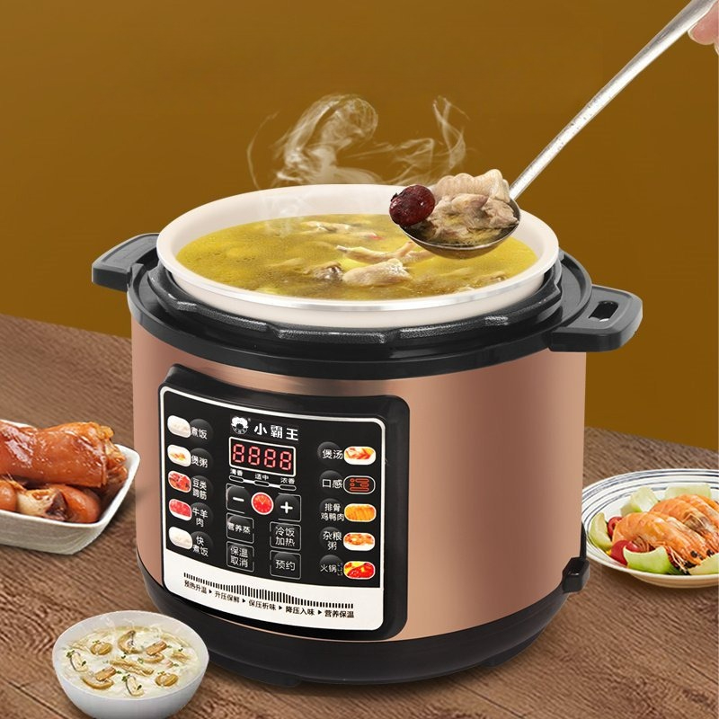 Programmable Electric Pressure - Instant Pot Pressure Cooker のレビューと価格