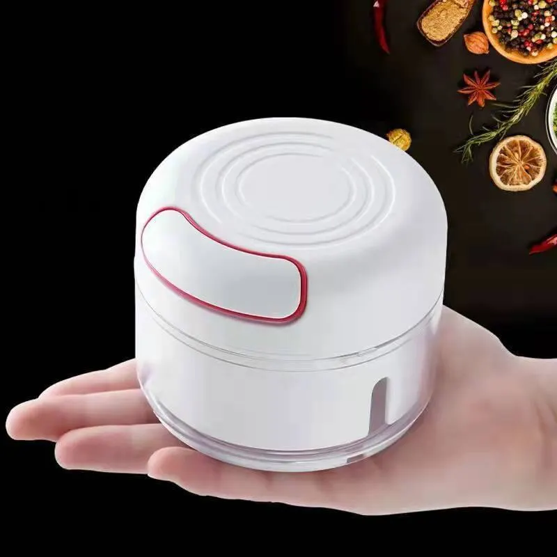 Plastic Garlic Crusher Press V - Kitchen Appliances Gift のレビューと価格
